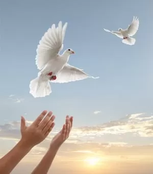 آیا پس از بخشش، ملزم به حفظ رابطه هستیم؟ :رهایی از قید تعهد